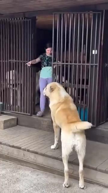 jesse kim，you're nothing，jessica book，je