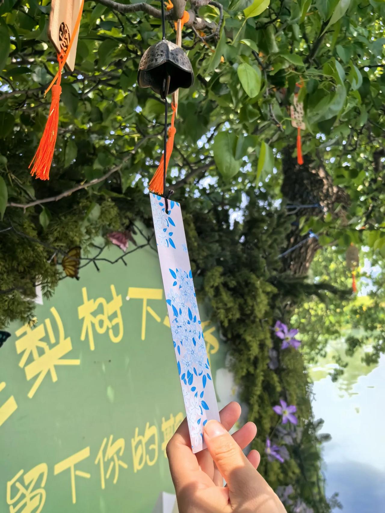 美景，美人，清风，风铃～
风铃🎐在哪里呀？在这里！[爱慕]宝宝抓住飘带，我来拍