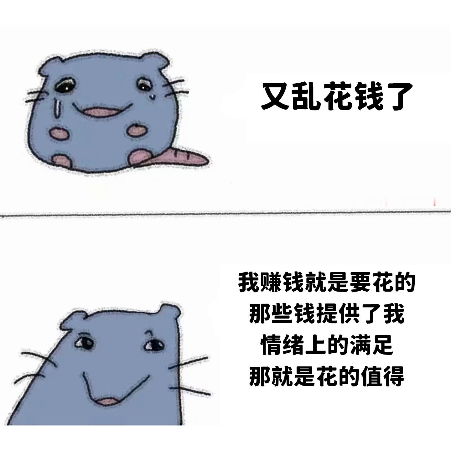 不算乱花！ meme  /  