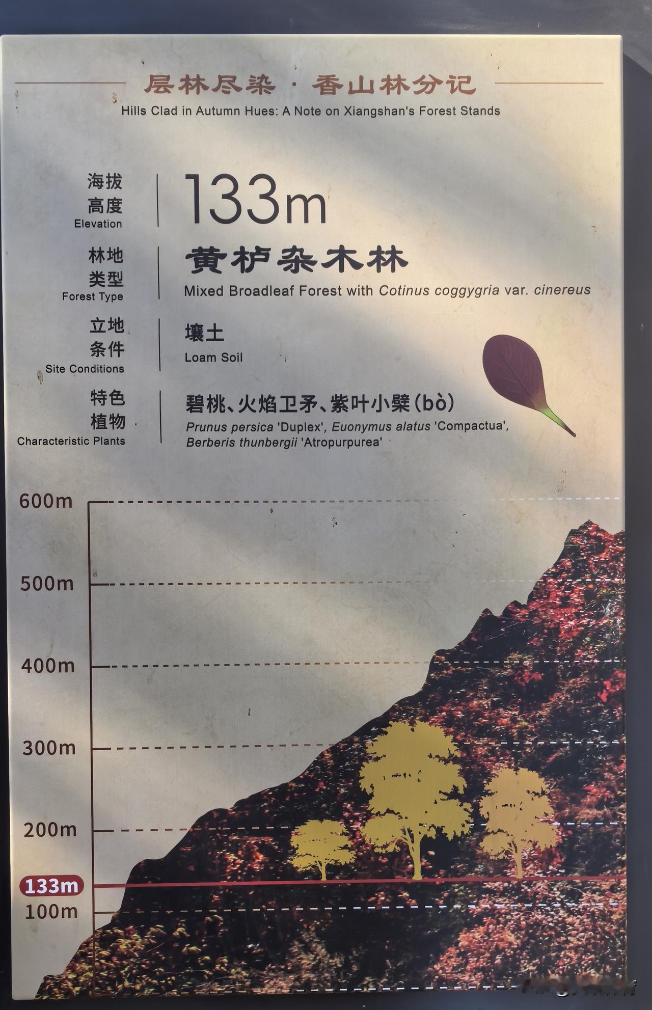 层林尽染．香山林分记
 Hills Clad in Autumn Hues : 