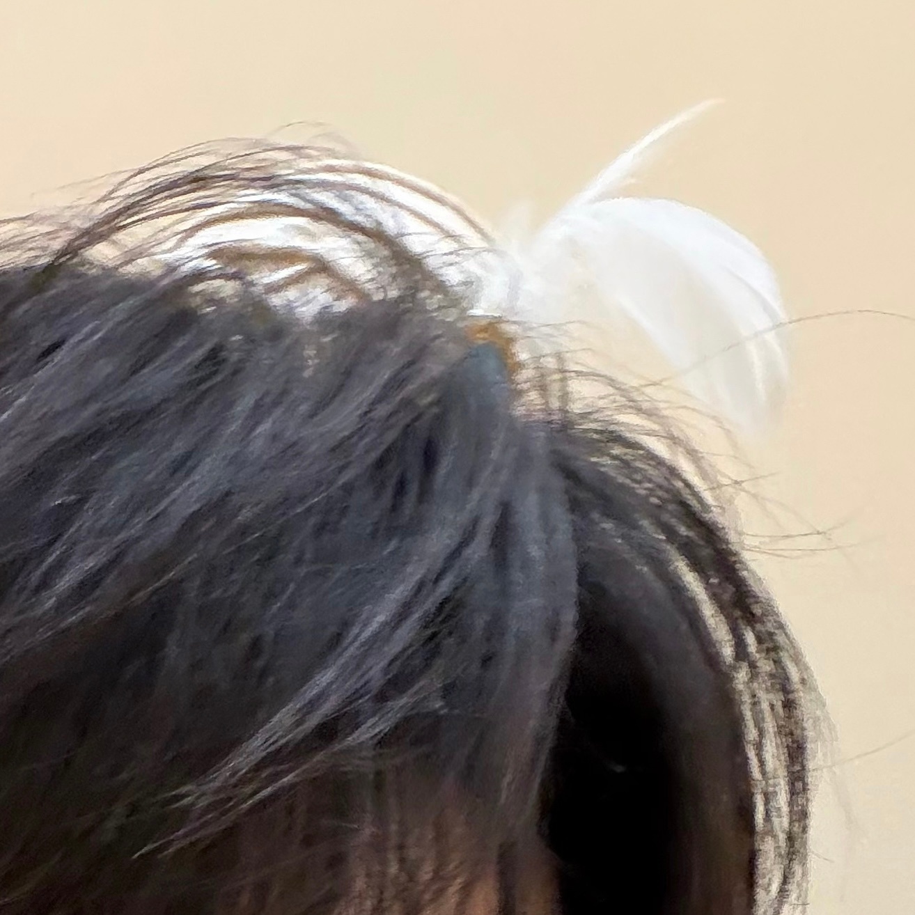 特别戳萌点 