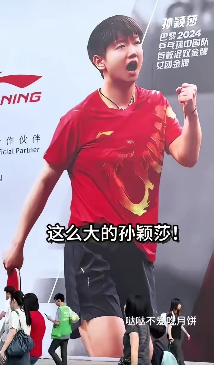 这个国乒乓球新队长也不是个什么官儿，但国乒乓球女队有个人牵头是很有必要的。但就目