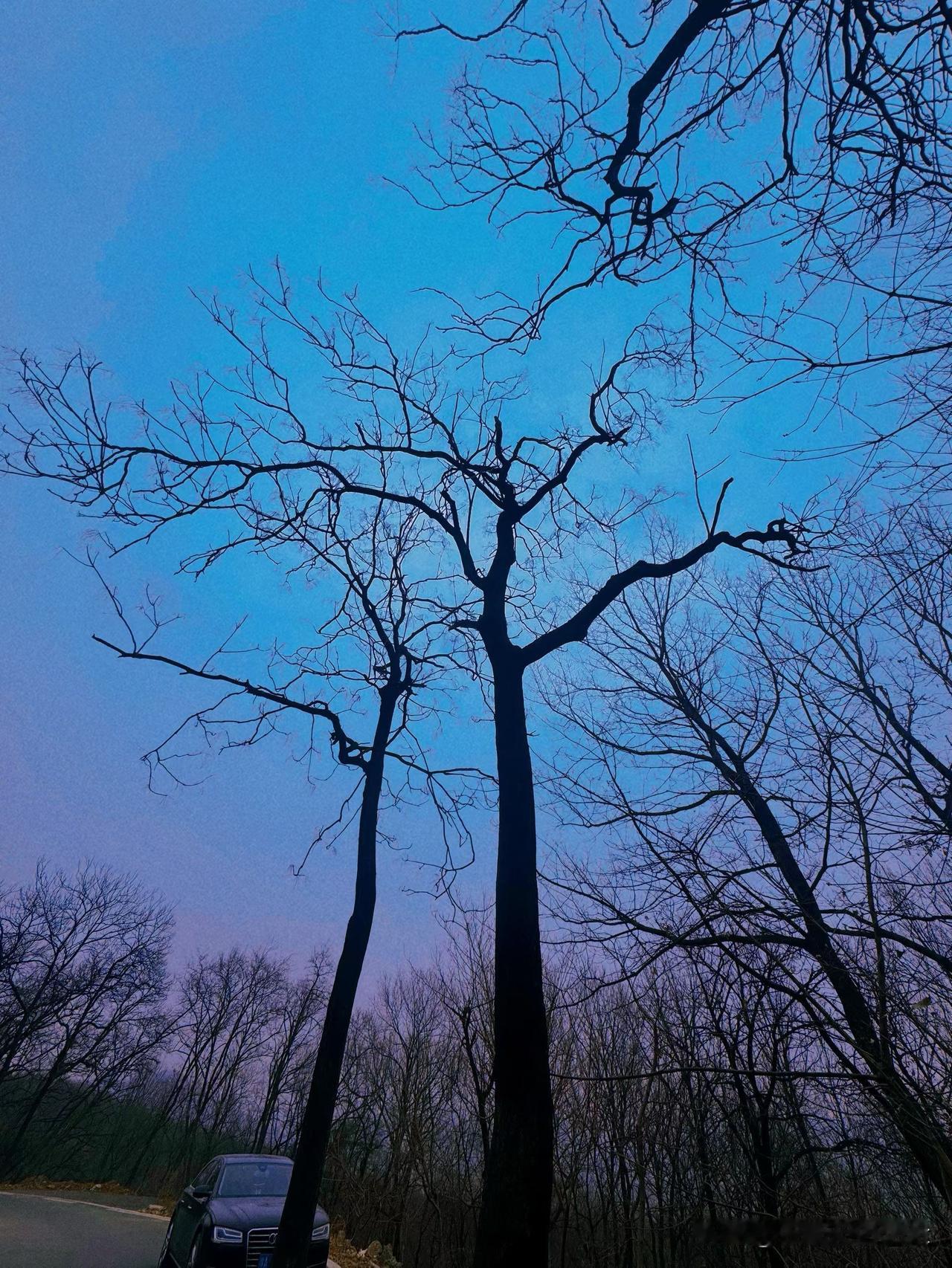 中东局势缓和对全球市场有何影响中东局势缓和，直接给全球市场吃了定心丸。能源稳、风