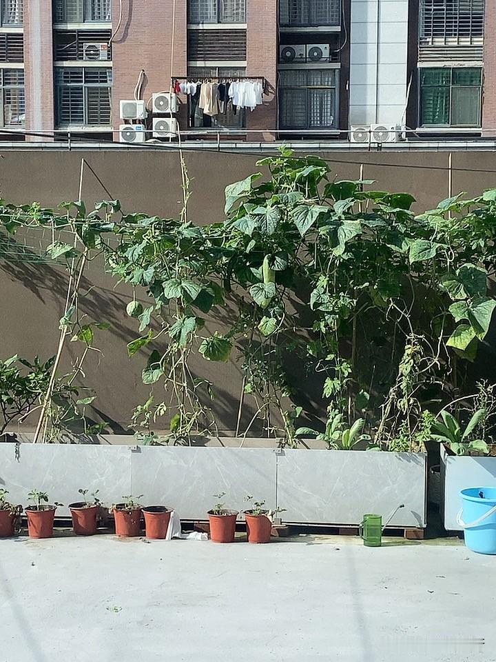 詹姆斯的历史地位是否已超越了乔丹詹姆斯的历史地位是否已经超越了乔丹？应该是没有的