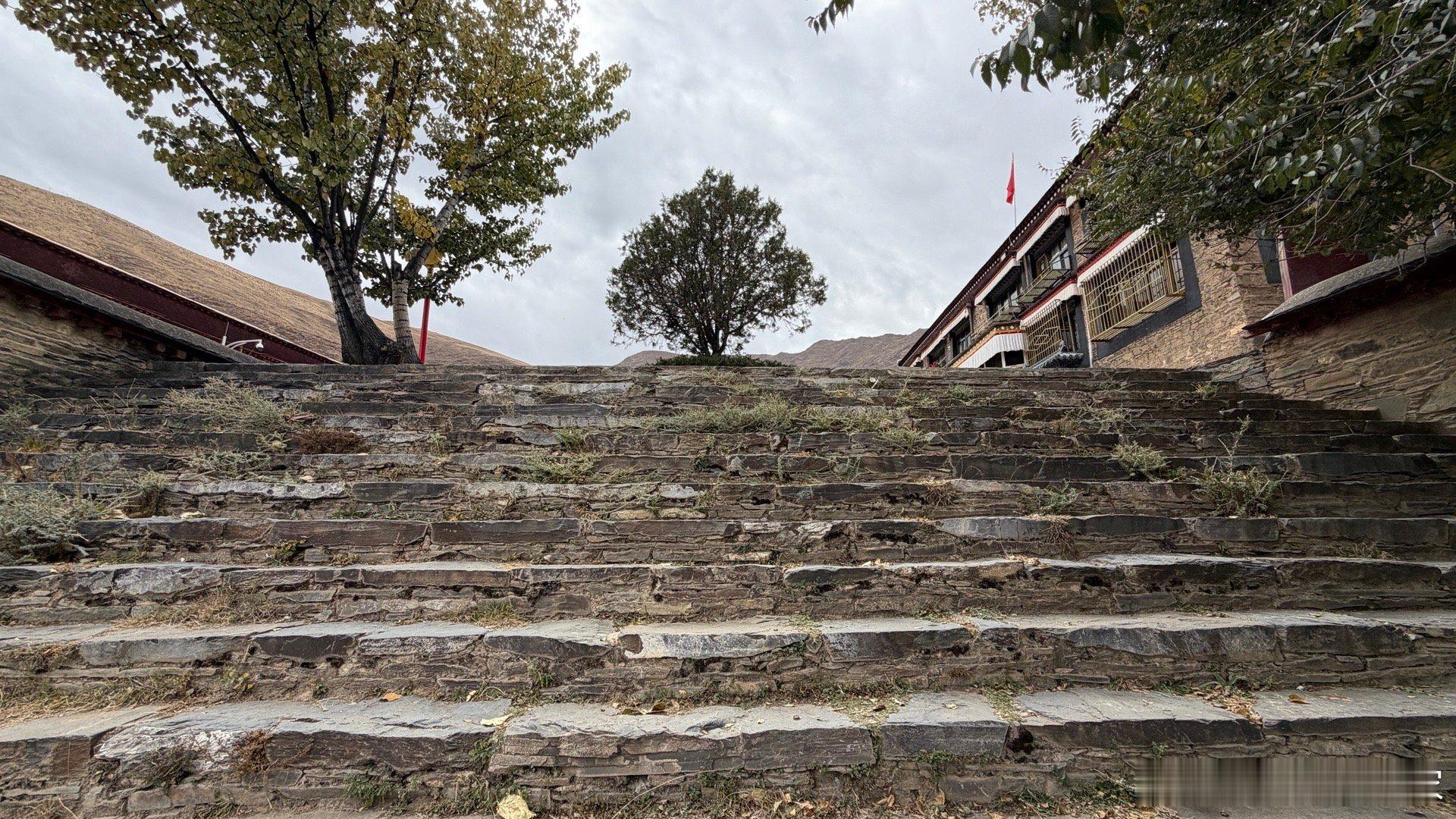 香港火灾，我个人觉得核心问题不是用竹子还是用钢筋，不是楼密，也不是风大。如果能排