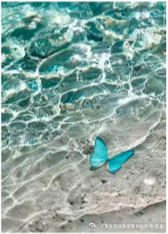 勿以善小而不为，勿以恶小而为之。