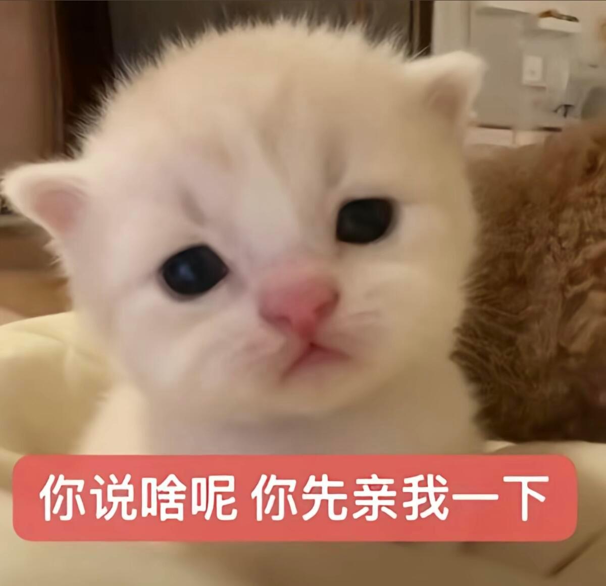 我想月人 hyq帮帮我 要续火i互动🍎🧱抽个1r  抽奖详情