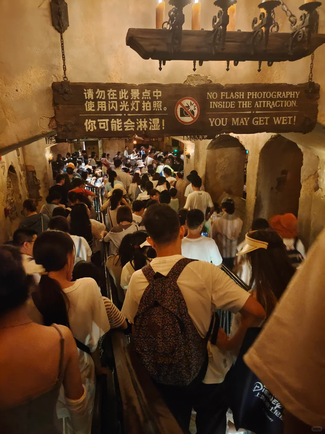 8月7日｜上海迪士尼疯狂动物城就离谱！真遭罪