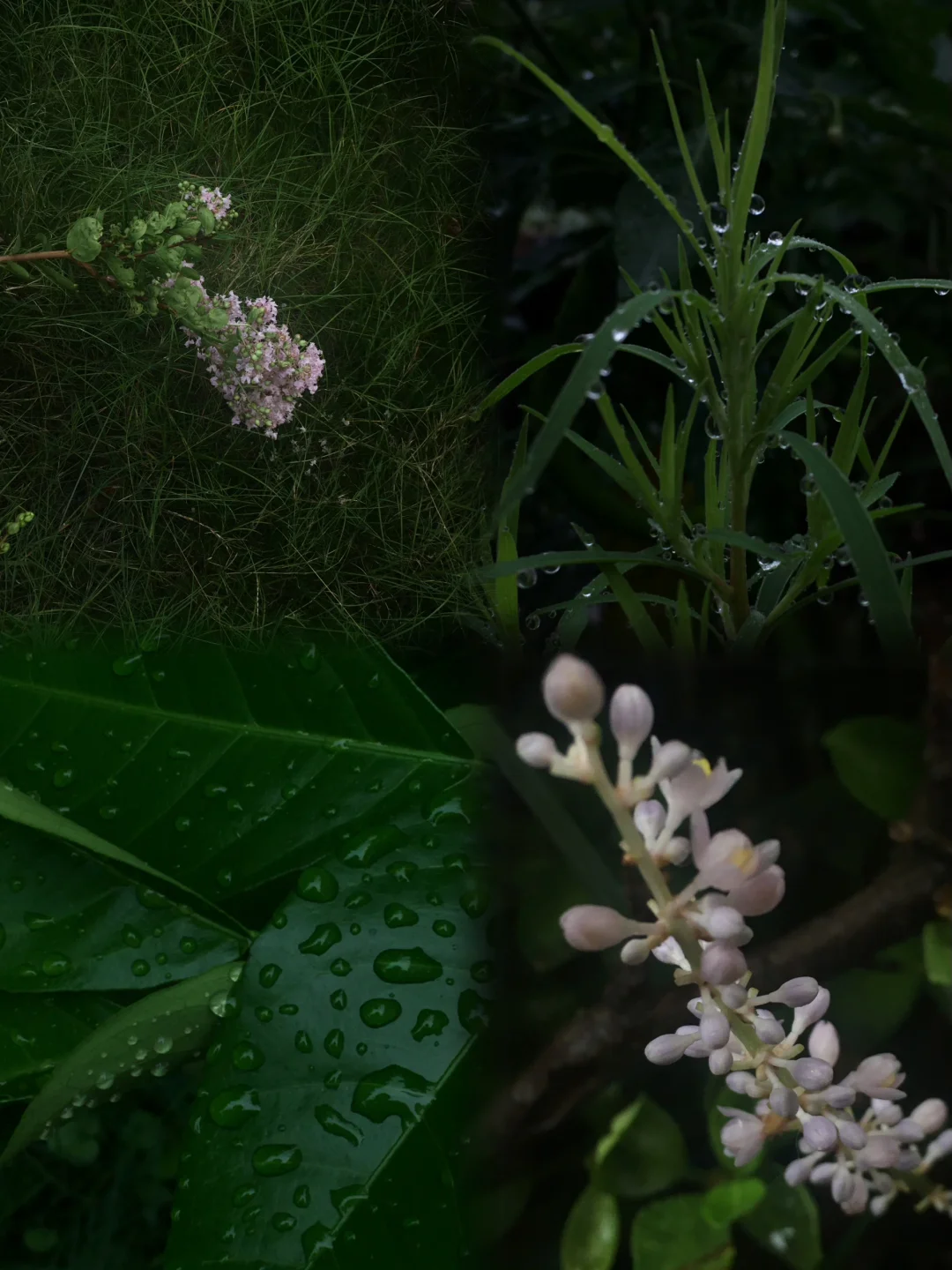 亲爱的，我们不必和别人一样。