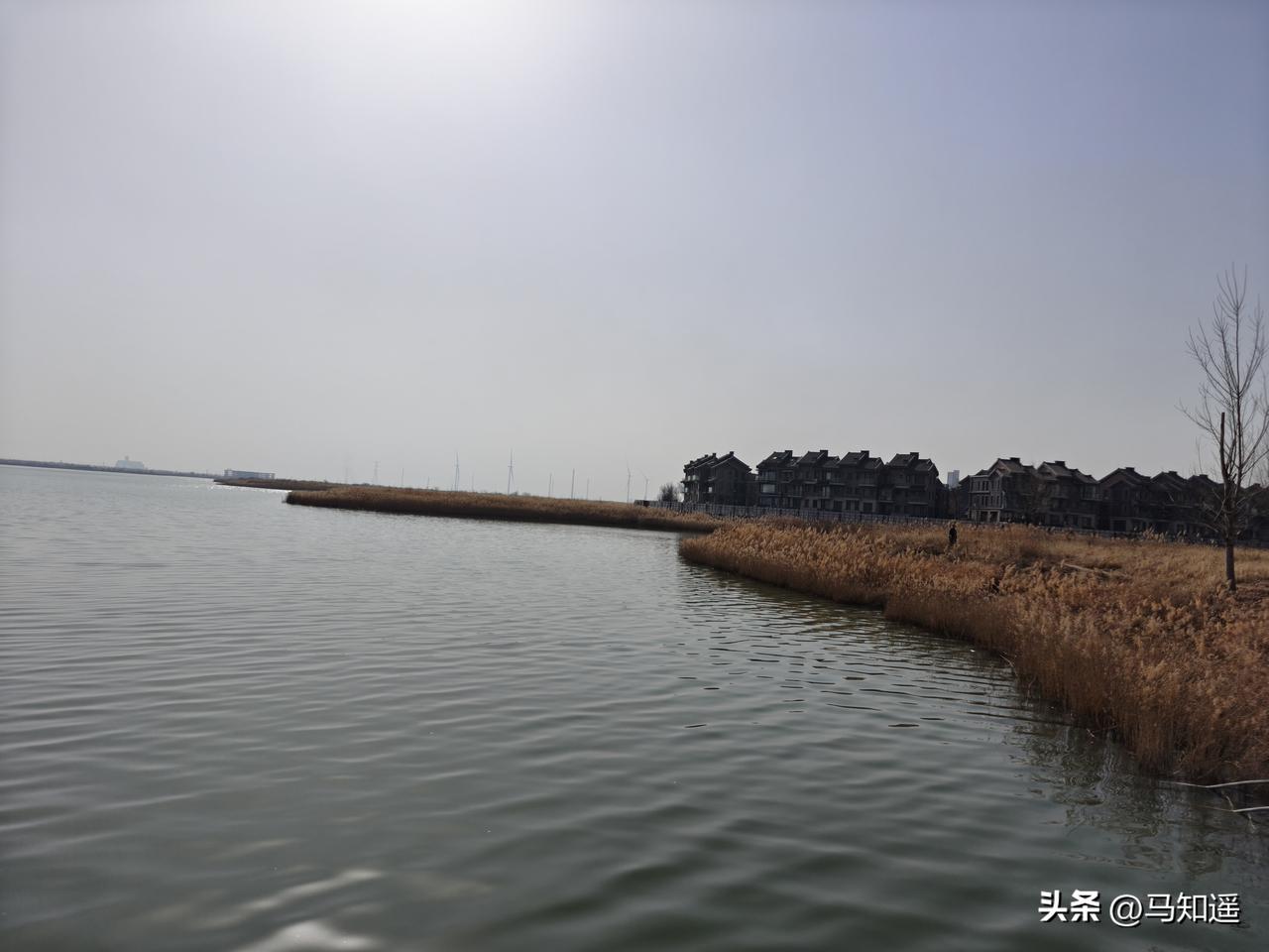 三月，即将有中外九位同学提交第三遍修改的毕业论文。也希望他们渡过这段艰难时光，都