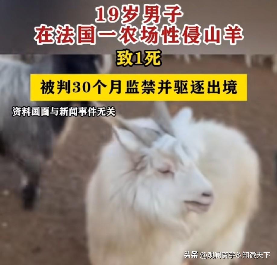 世界之大，真是无奇不有。自从注册了头条，就差没见过鬼了[捂脸]
