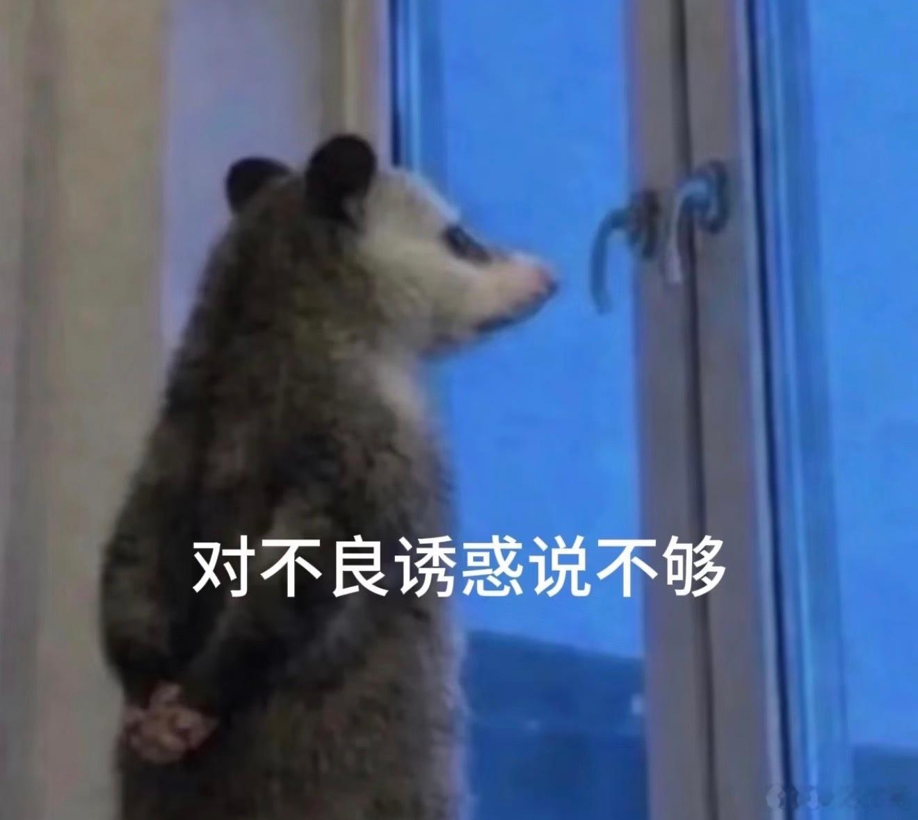 意识到了一杯奶茶钱真不是小钱一杯奶茶钱可以买一箱牛奶……可是我烦心的时候总不能喝