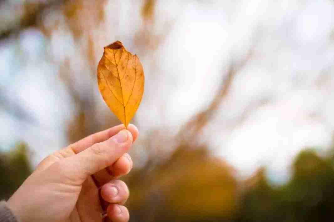 我的今日状态：😁轻松愉快
我这里的天气：☀️晴天