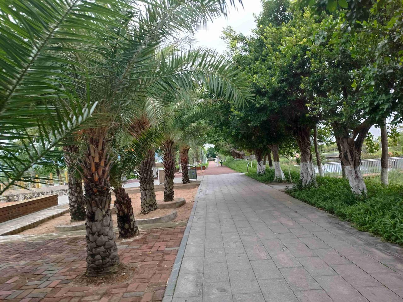 我的今日状态：🏃‍➡️运动
我这里的天气：🌤️多云
忙里偷闲
去湿地公园溜达