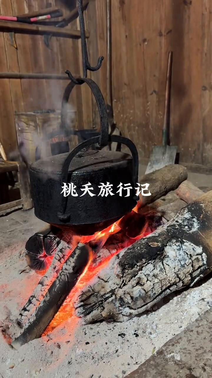 桃天旅行记。
