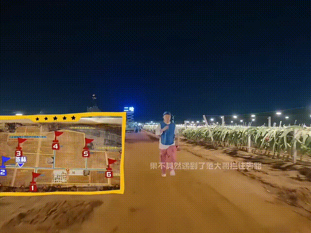 陈赫五哈抽粉丝送旅游基金陈赫问粉丝下季五哈去哪里线上讨论氛围纯粹围绕城市风光与节