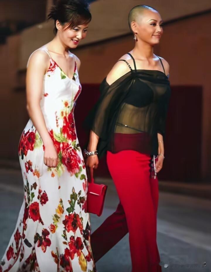 真是佩服演员宁静年轻的时候，她和大陶虹一起出席活动，没有任何明星的偶像包袱，就这