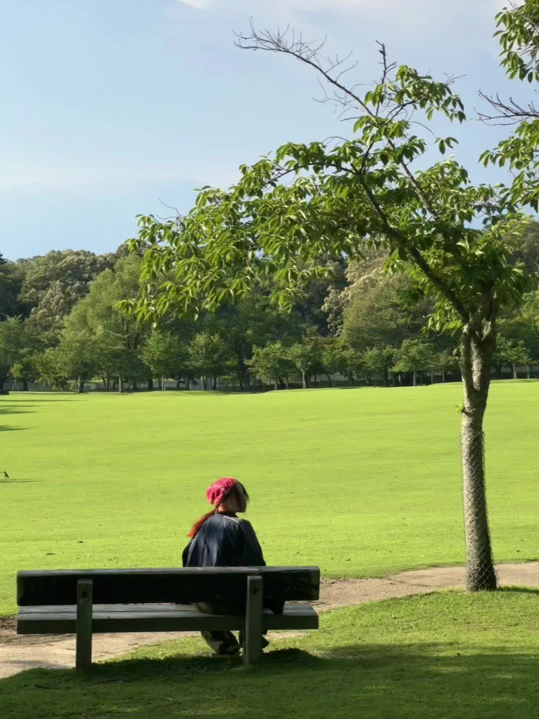 感觉拍到了人生照片