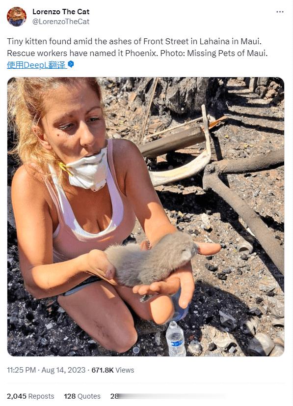 【又是救出一只猫】夏威夷大火一美国人在社交平台上发布了照片，一救援人员从毛伊岛火