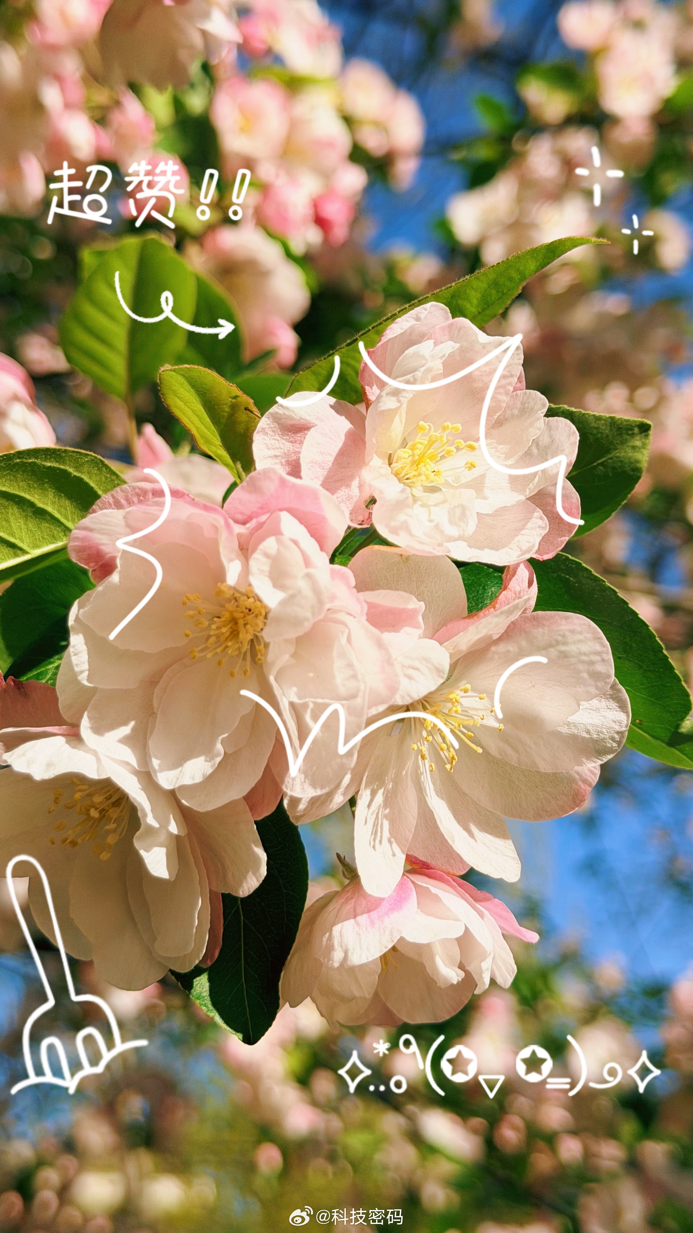 送了孩子，早睡早起，挺好plog纪念册