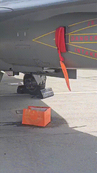 去年迪拜航展，印度“光辉”战斗机就放了个大的，原定的飞行表演因为故障取消，只能在