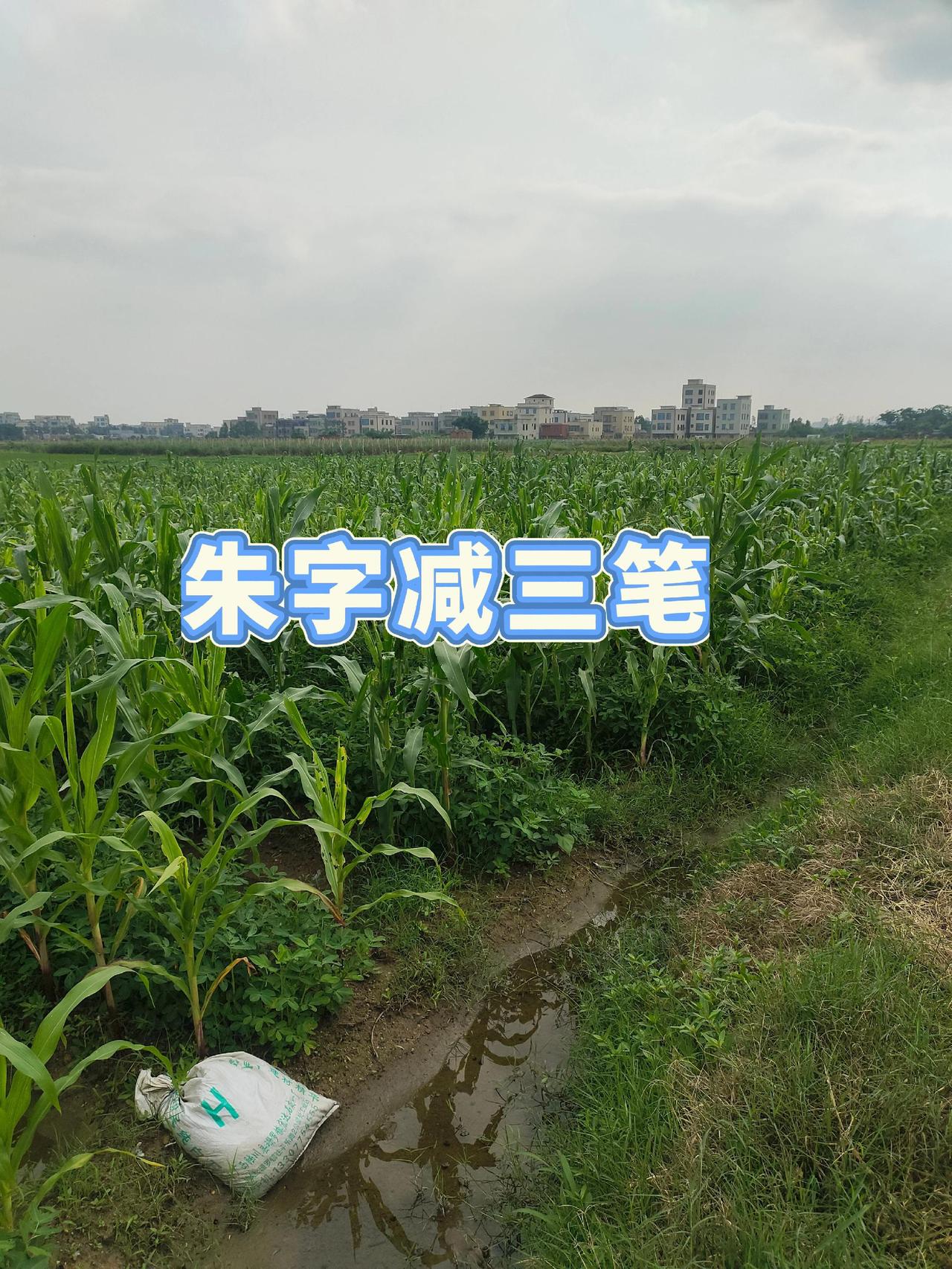 新农人计划 趣味猜字谜