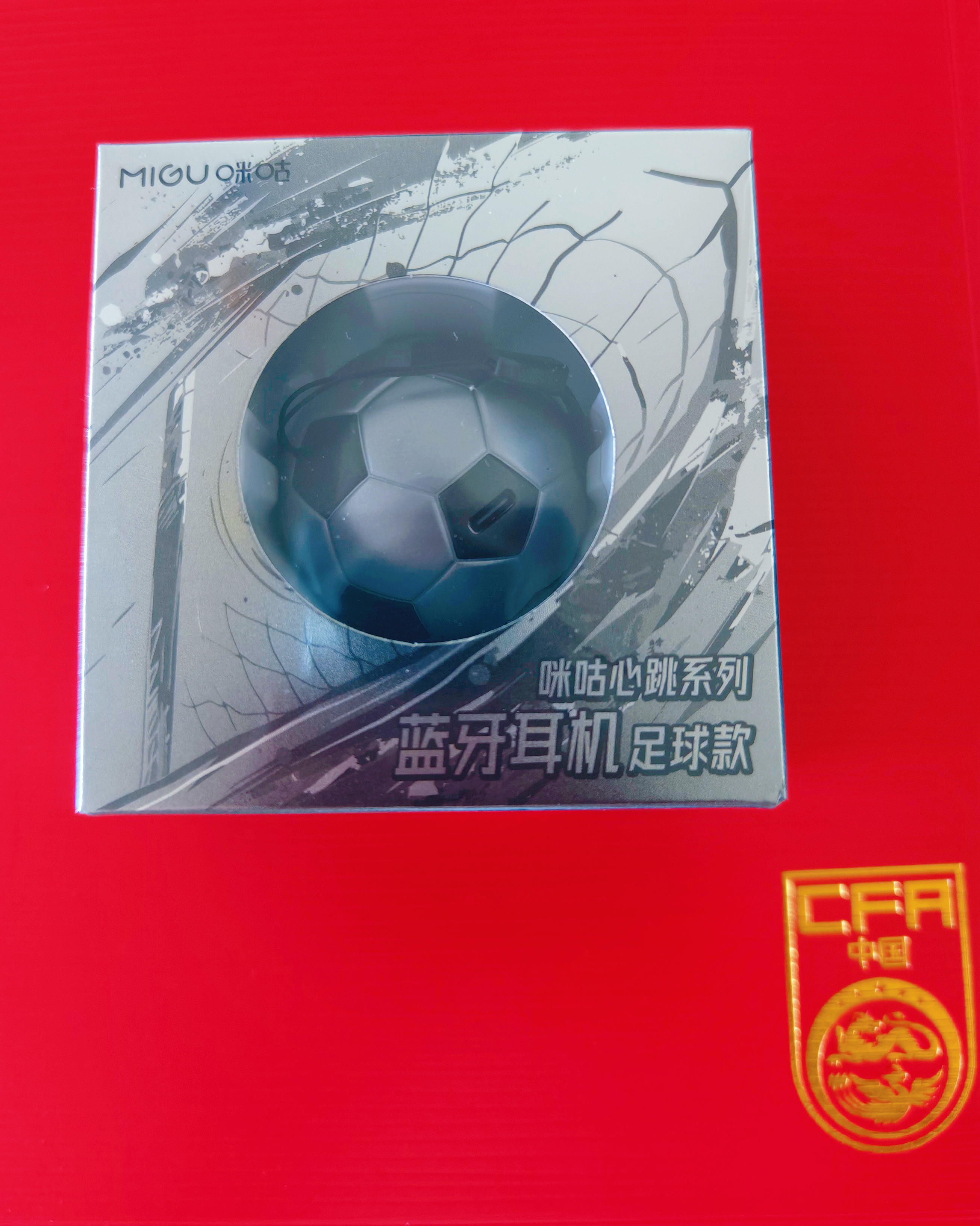 感谢晚上看世界杯，既不影响他人，自己也犹如在现场观赛一样 北京·北京工人体育场