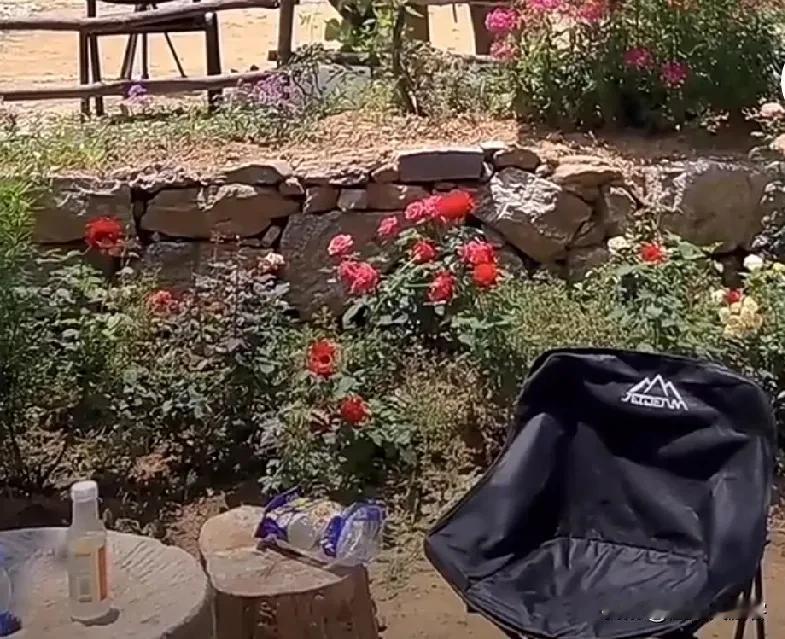 重回老家小院，心头涌上万般思念。

院里的花依旧如期绽放，
都是母亲生前亲手栽种