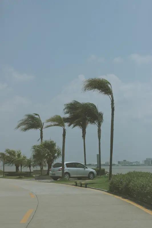 对于中国设备厂商而言，海外市场不仅需求旺盛，且盈利空间显著优于国内。

高毛利率