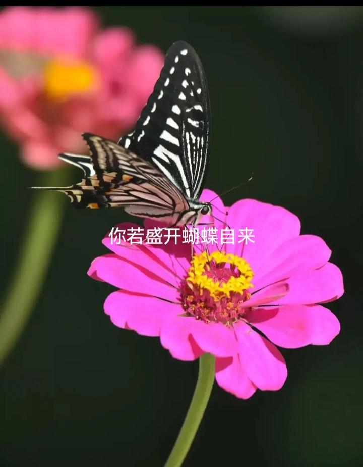 我们平时发出去的文章，展现量几十万或者上百万，阅读量超十万的可以说是爆文了。
爆