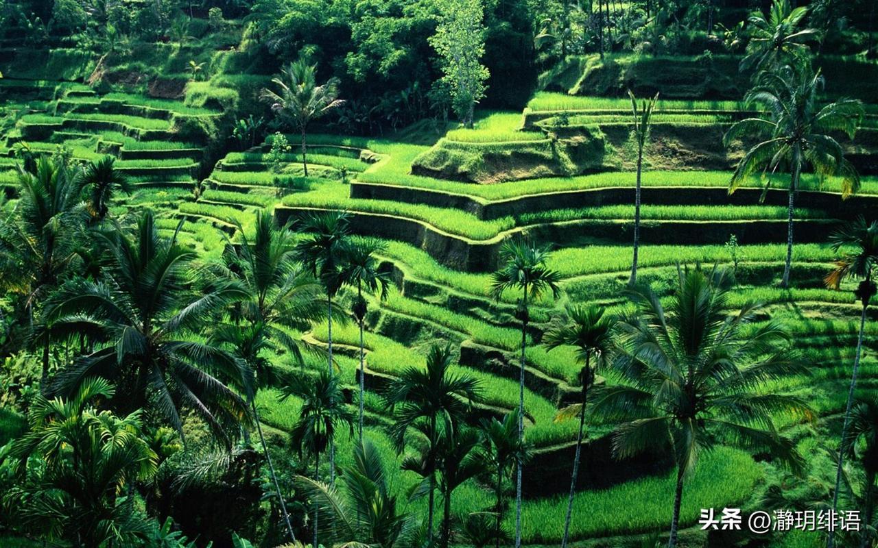 在农村人多的环境里，你独善其身是错，你不合群是错，你不向下兼容更是错。
农村人的