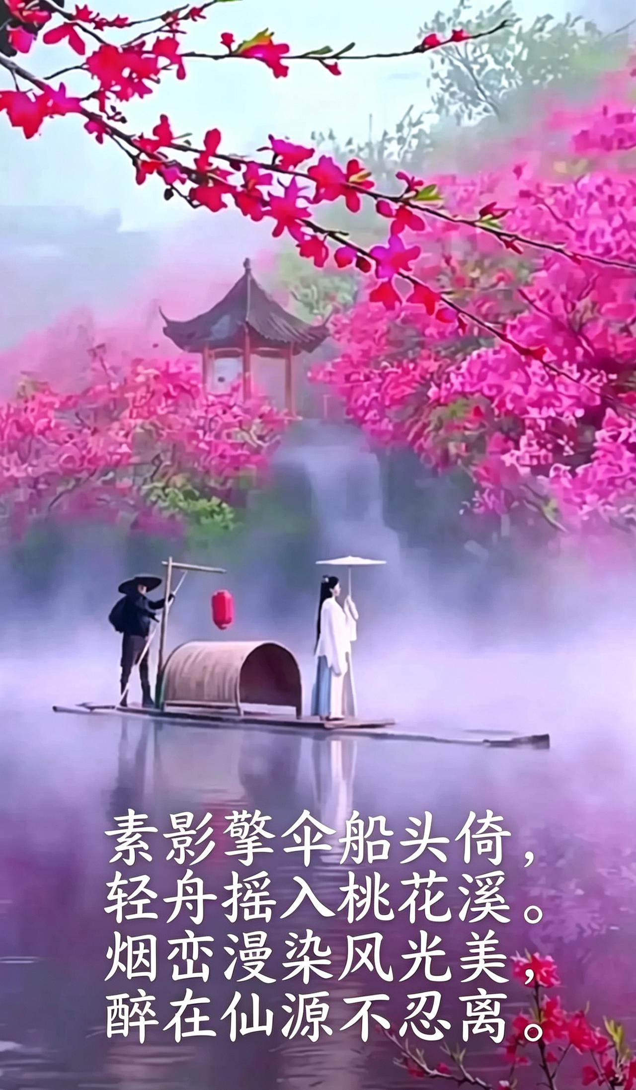 一船烟雨，满目繁花。