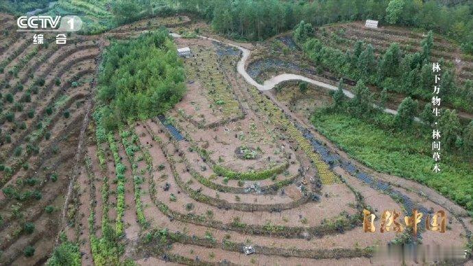 一架架无人机在中国农村运货 中国农村的科技含量越来越高 瞧那浙江丽水，无人机运输