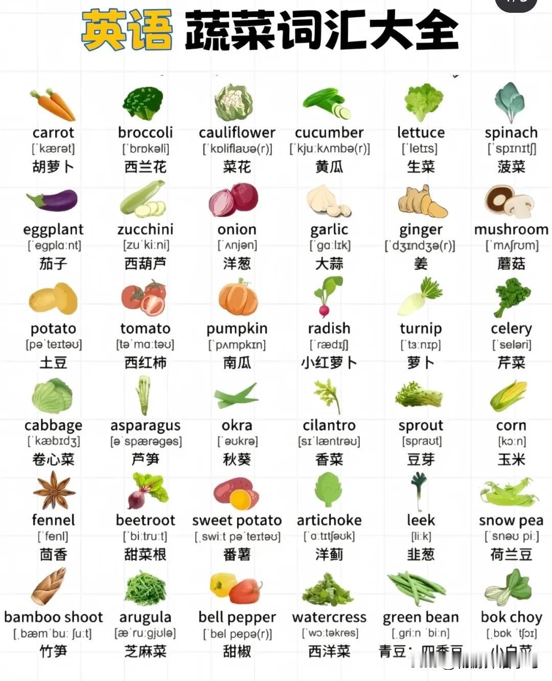 跟“蔬菜”有关的英语词汇
