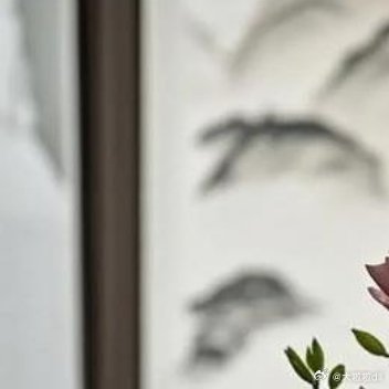 ❀ ൢ ൢ❀樱花盛开╭◜◝ ͡ ◜◝╮ ꀿªᵖᵖᵞ🧚ꔛ ꕤ❞🌸( ღ˘⌣˘ღ