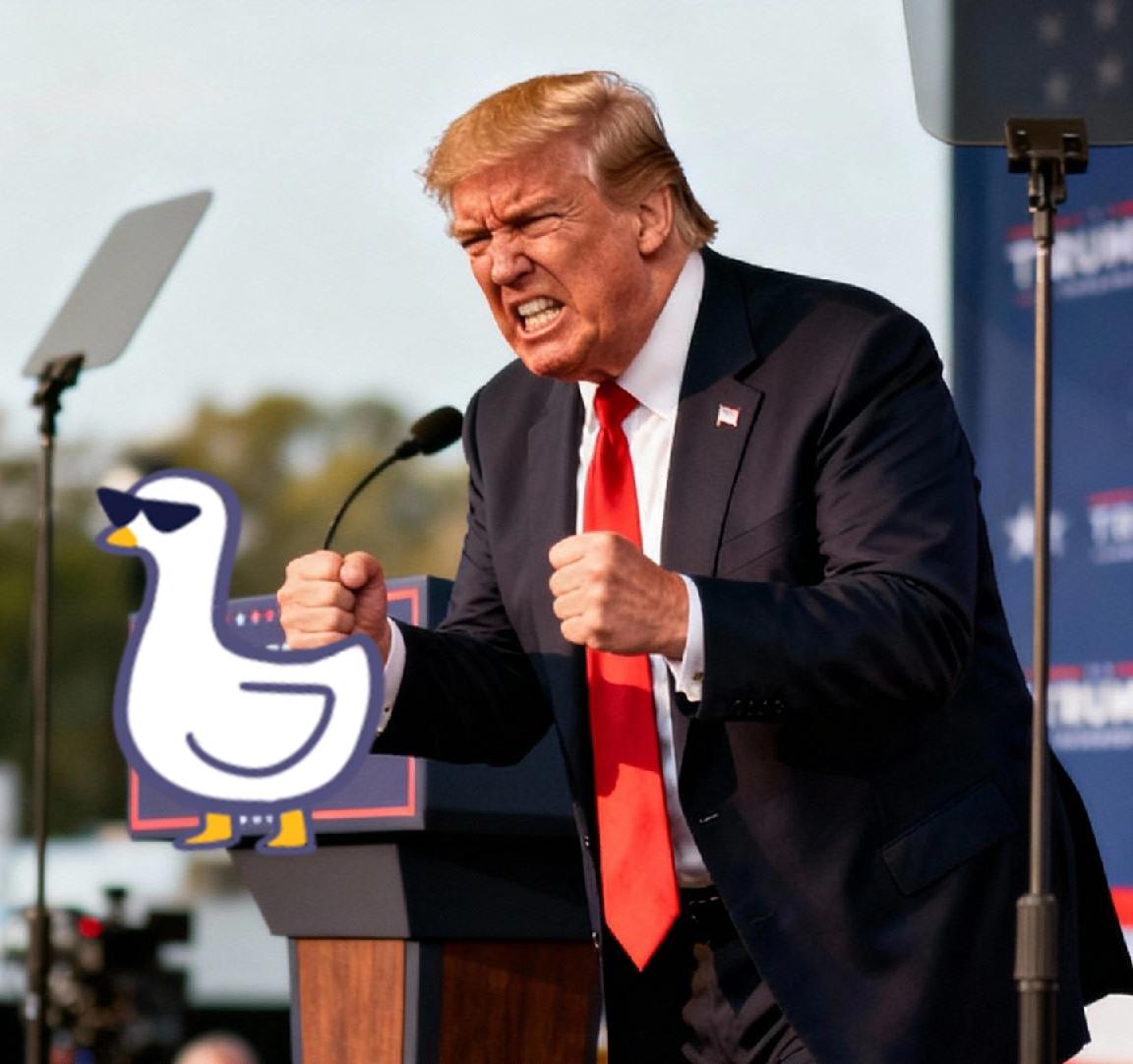 快讯！快讯！
特朗普再次攻击南非
 11月5日，特朗普在佛罗里达州迈阿密的一场公