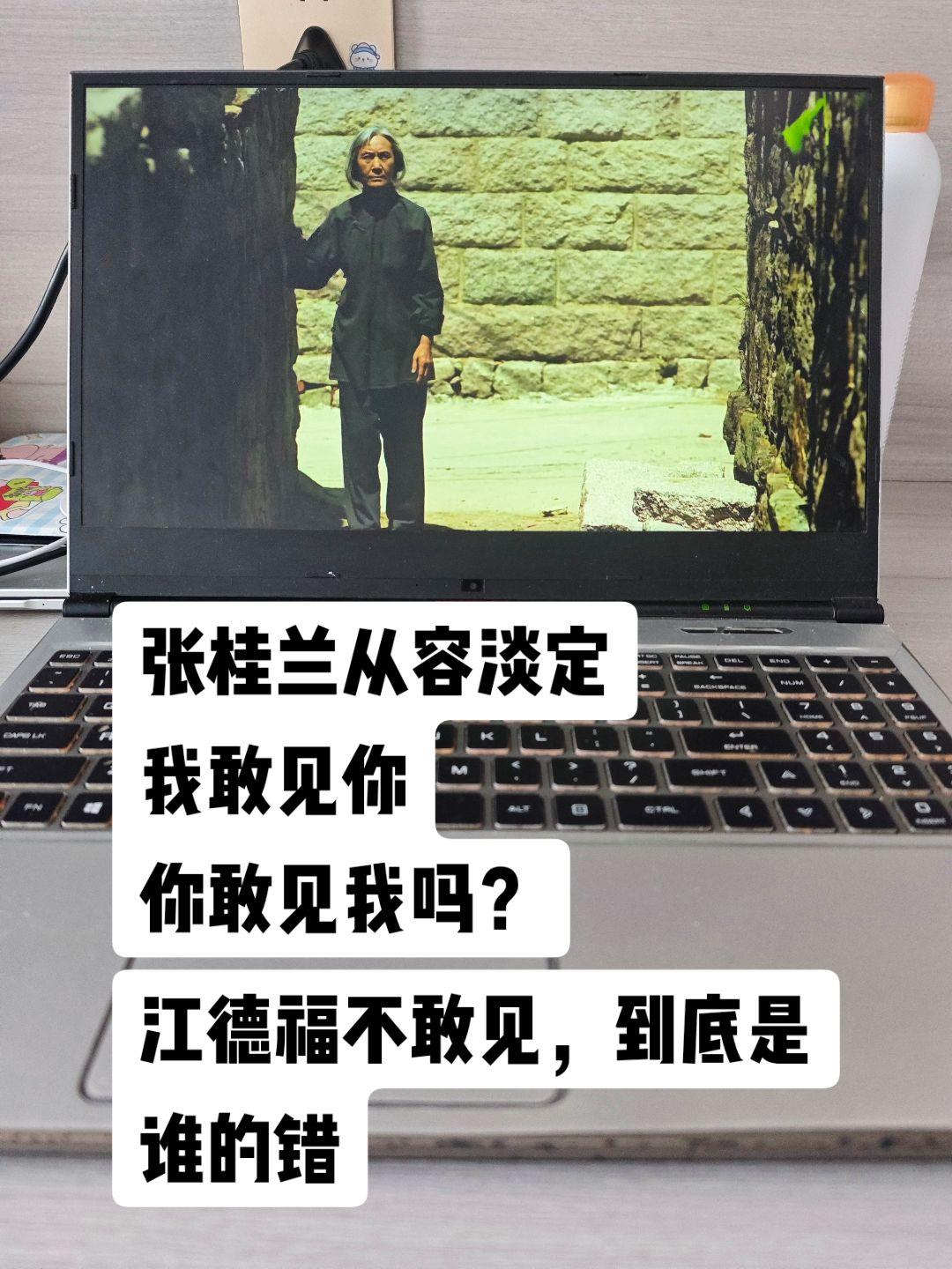 张桂兰为何想见江德福一面。