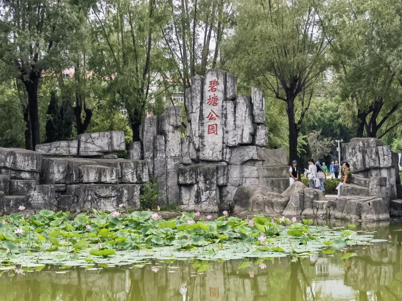 漫步沈阳——碧塘公园
三十多年前，逢周四休息，常骑一辆破自行车，带着年幼的儿子来