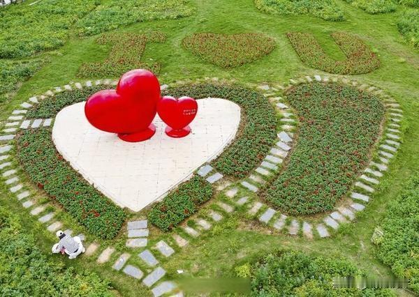 武汉汉江湾主题花海太惊艳了！今年升级成3万方的“彩虹花海”，播撒近10种花种。4