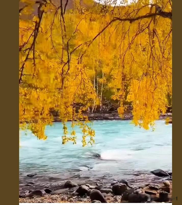 有个事我不敢说，央视又在暗示，轰20轰炸机即将亮相？
央视终于放出消息！轰-2这