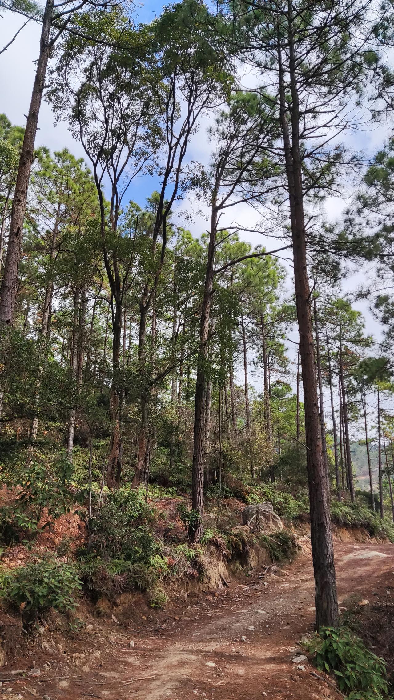 “被打还手即互殴”将成历史，法律新规来袭

近年来，社会对于暴力事件的关注不断升