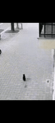 真的要吓出心脏病！宝妈就去上了个厕所，前后不到两分钟，阳台边玩的宝宝居然自己滚下