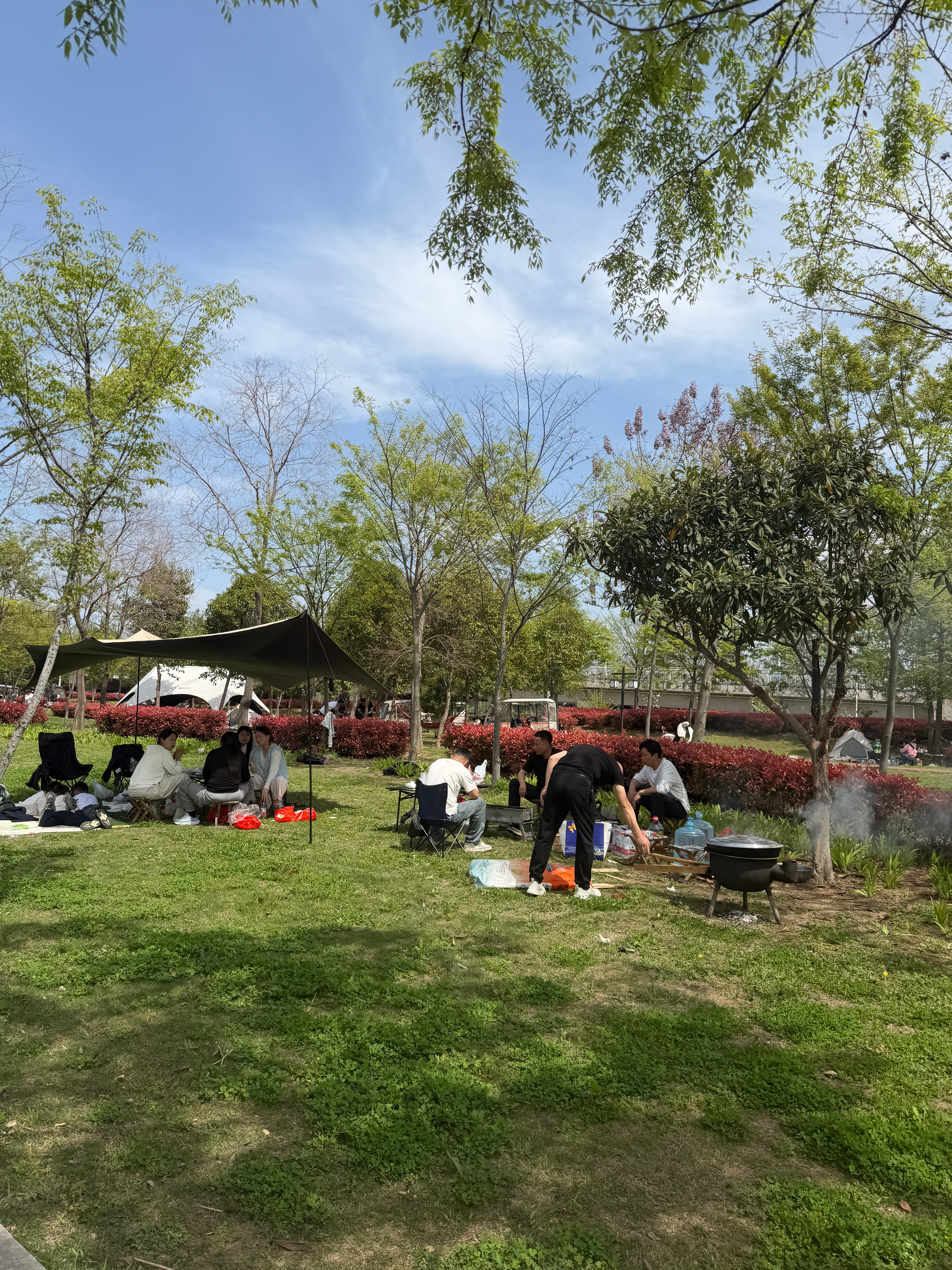 小区旁边都是来野餐的 真好啊 永城的姊姊日月湖不想跑的来