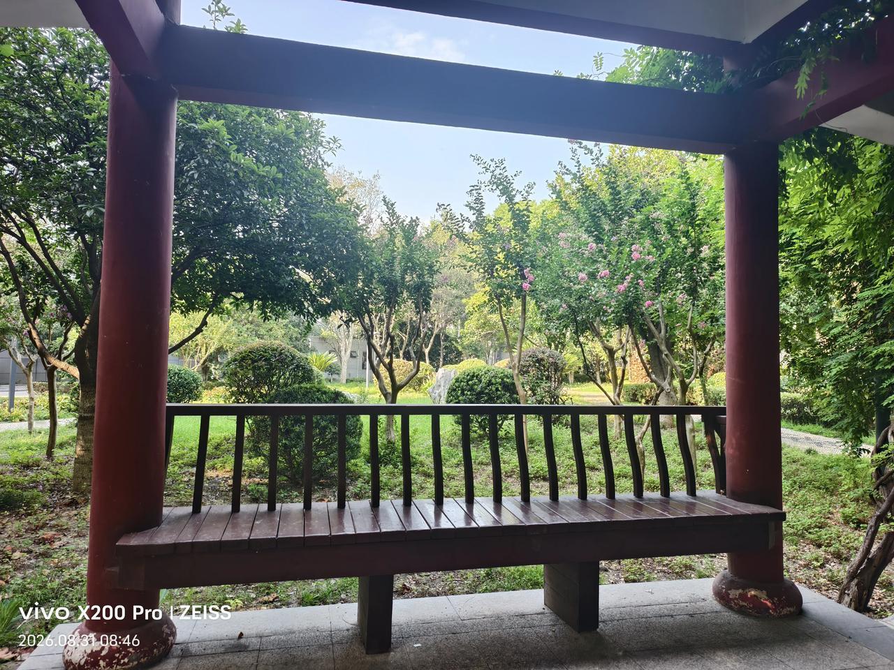 今天早上7点多钟，我来到了原四中后门口的一个街心公园，一个人又做了八段锦，这次在