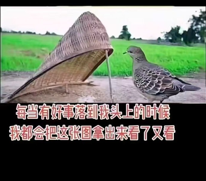 前几天跟朋友吃饭,很不巧,中途接了几个电话老友问我是不是家里出了什么事?说没有,