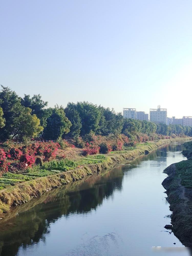 退休后，要保命，10条最聪明的做法：1、立刻退出所有工作群，在单位彻底消失

真