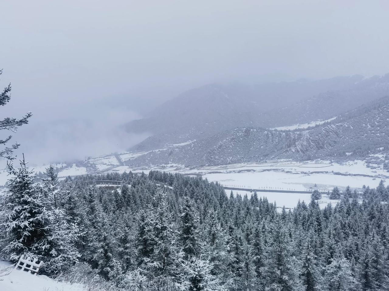 边捡垃圾边旅行第12天 大雪 休息 
一早起床发现窗外下起了大雪 已经厚厚一层 