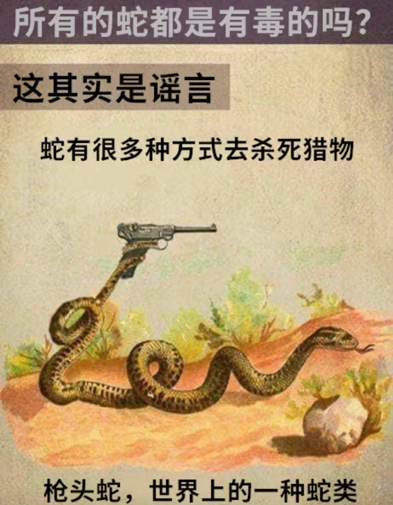 小心了#今日memes#// #我的幽默搭子# ​​​