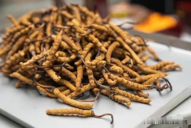 容易造假和冒充的中药材大揭秘！你中招了吗？

在追求健康养生的今天，中药材因其独