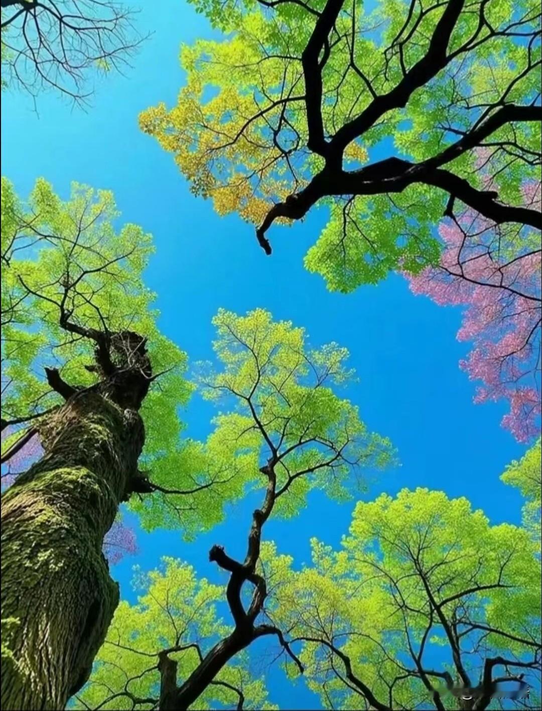 太好了，总算是放晴了！
推开窗，阳光哗啦一下全涌进来，暖洋洋地照在身上。
连续下